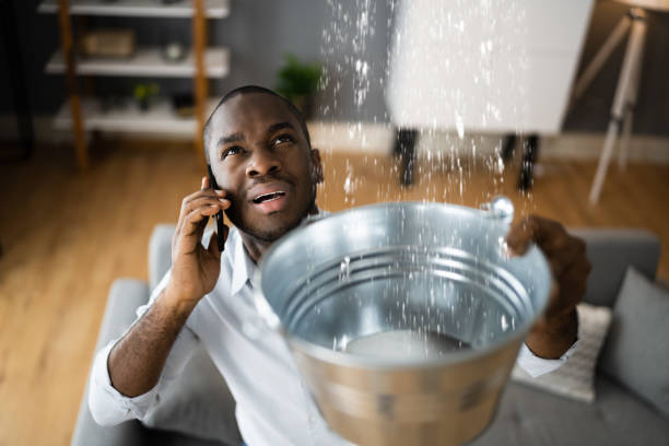 Best Mold removal after water damage  in Silver Lakes, CA