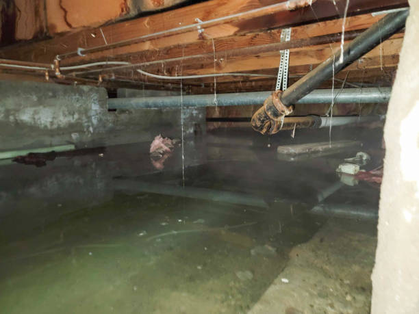 Best Commercial water damage restoration  in Silver Lakes, CA