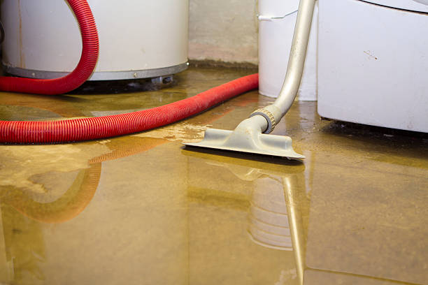 Best Ceiling water damage repair  in Silver Lakes, CA