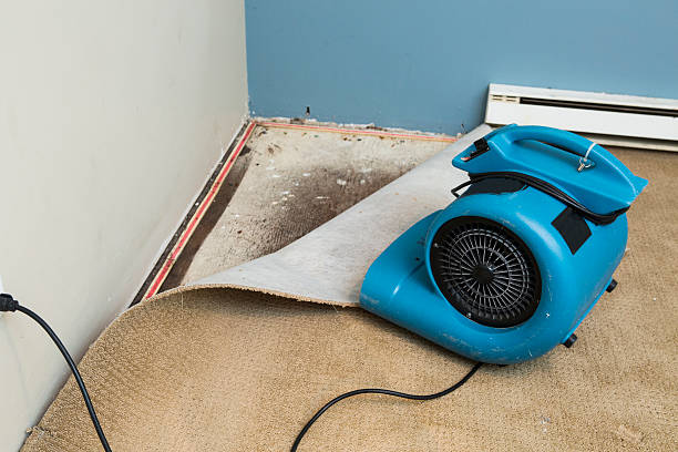 Best 24/7 water damage repair  in Silver Lakes, CA